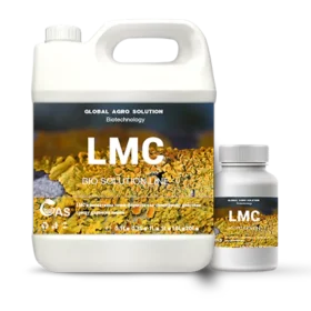 LMC
