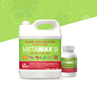 Zwei Behälter des Produkts METAMAX B von Global Agro Solution – Biotechnologie-Lösung für nachhaltige Landwirtschaft.