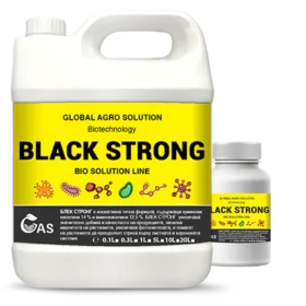 BLACK STRONG