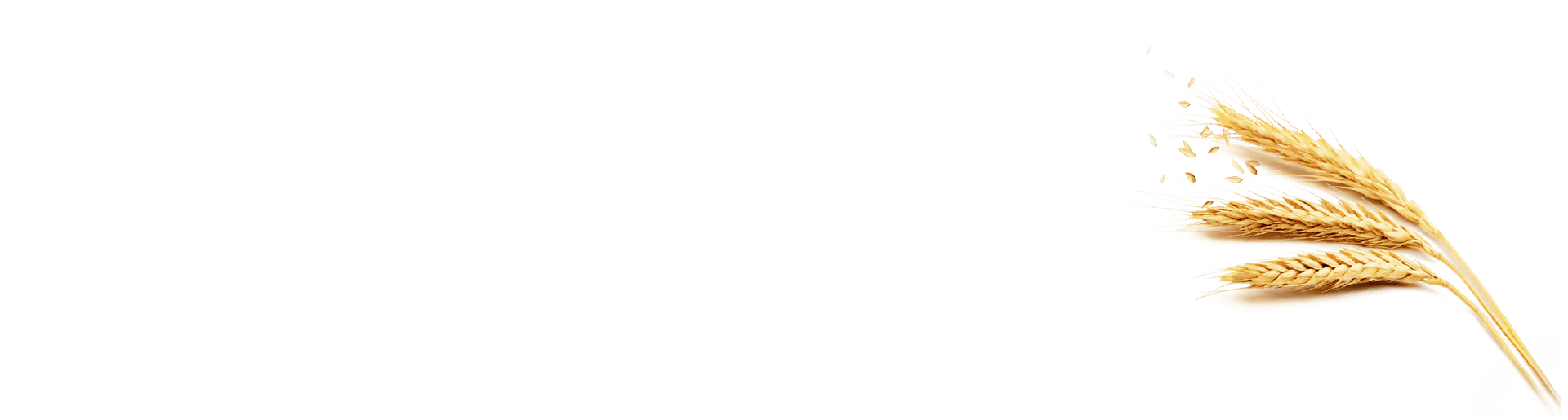 unsere geschichte 2 Global Agro Solution