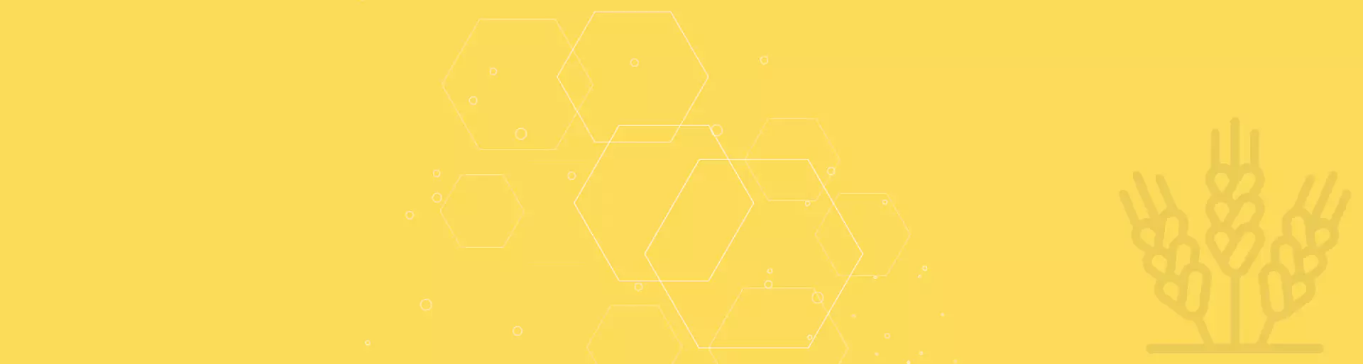 was wir erreicht haben Global Agro Solution